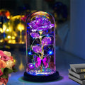 Christmas Flowers Gifts for her Women Mom Wife,Womens Gifts for Christmas,Christmas Rose Flowers Gifts Light Up Rose in Glass Do