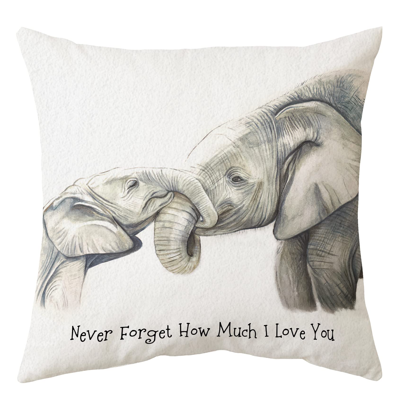 Sidhua Elephant Love Themed Pillowcase Decorations For Home, Baby Elephant Never Forget How Much I Love You Throw Pillow Cover 1