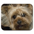 Yorkshire Terrier Yorkie Dog Mouse Pad Mousepad
