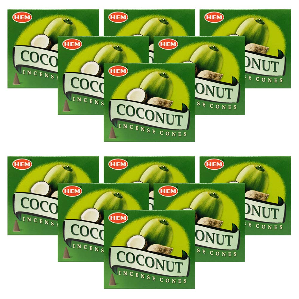 Coconut Incense Cones And Cone Incense Burner Bundle Insence Insense Hem Incense