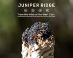 Juniper Ridge California White Sage Large Incense Bundle - Aromatherapy - No Synthetic Fragrance - Single Count