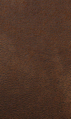 American Furniture Classics Wild Horses Love Seat