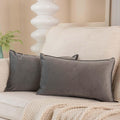 Juspurbet Gray Lumbar Velvet Throw Pillow Covers 14X24 Inch Set Of 2 For Home Decor Living Room Bedroom Couch Decorative Broadsi