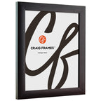 Craig Frames Contemporary, 12X34 Picture Frame, Brazilian Walnut