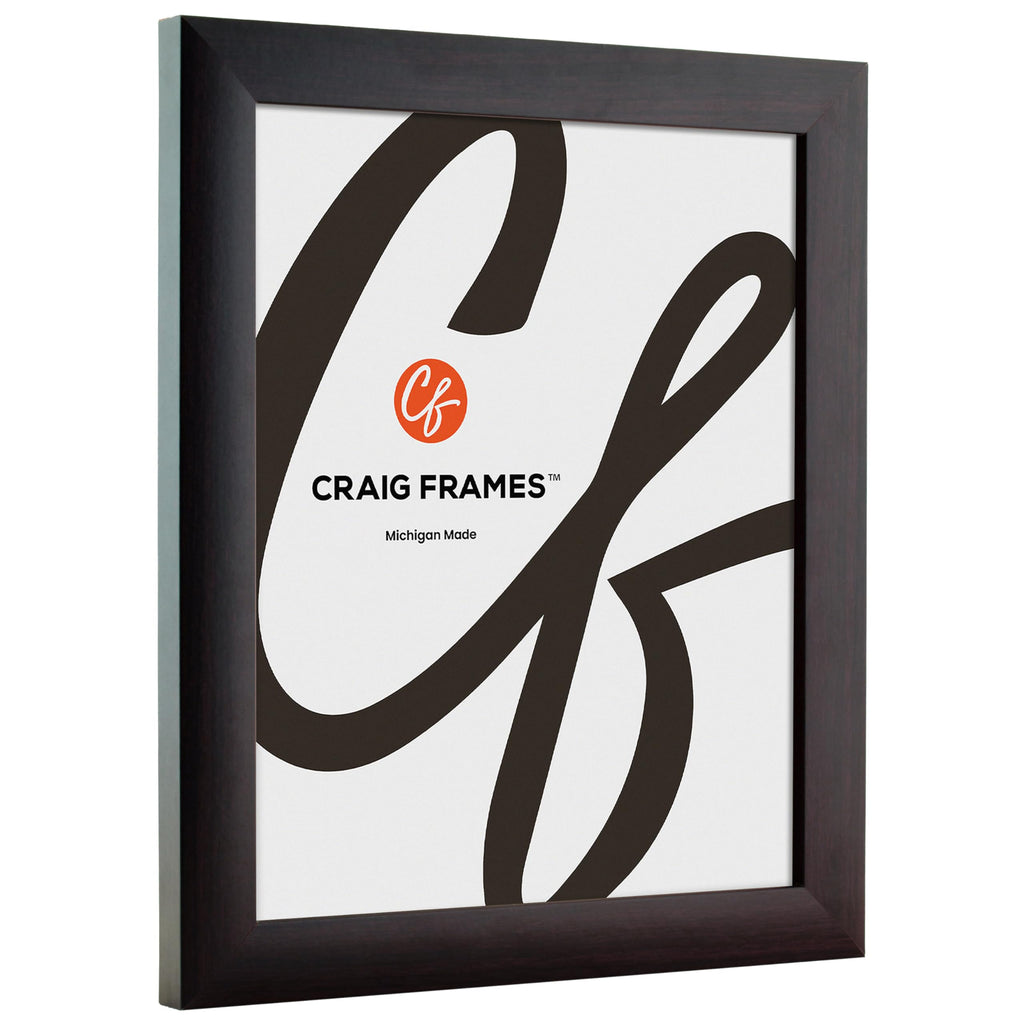Craig Frames Contemporary, 9X27 Picture Frame, Brazilian Walnut