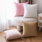 Emema Pack Of 2 Velvet Throw Pillow Covers Decorative Square Pillowcase Soft Solid Cushion Case For Sofa Bedroom Chair Car 18X18
