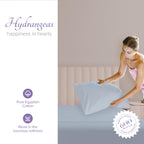 Carressa Linen 100% Egyptian Cotton Pillow Cases Set Of 2-600 Thread Count Sky Blue King Pillowcase For Sleeping, Soft, Silky Sa