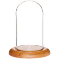 Plymor 3 x 5 Glass Display Dome Cloche (Oak Wood Base)