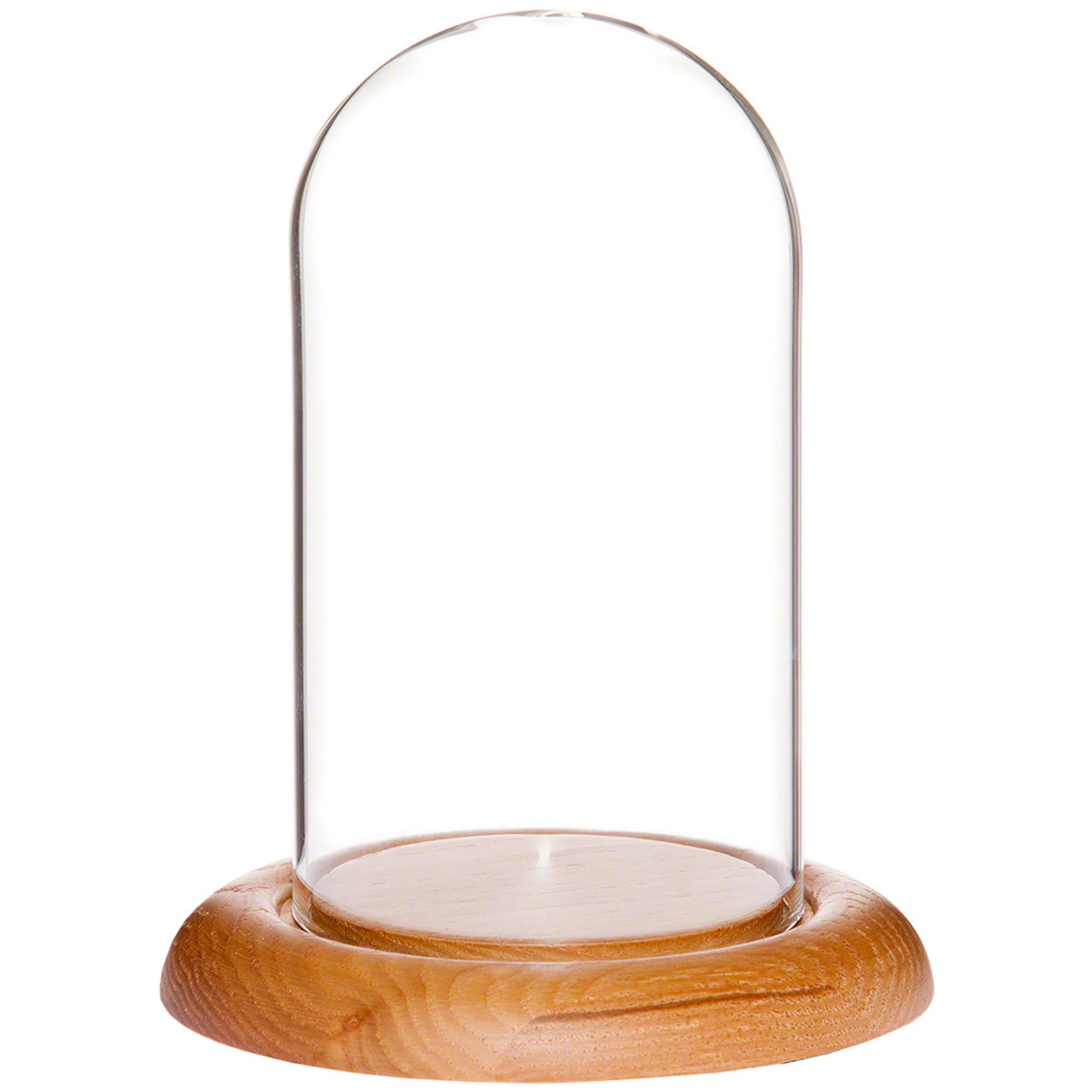 Plymor 3 x 5 Glass Display Dome Cloche (Oak Wood Base)