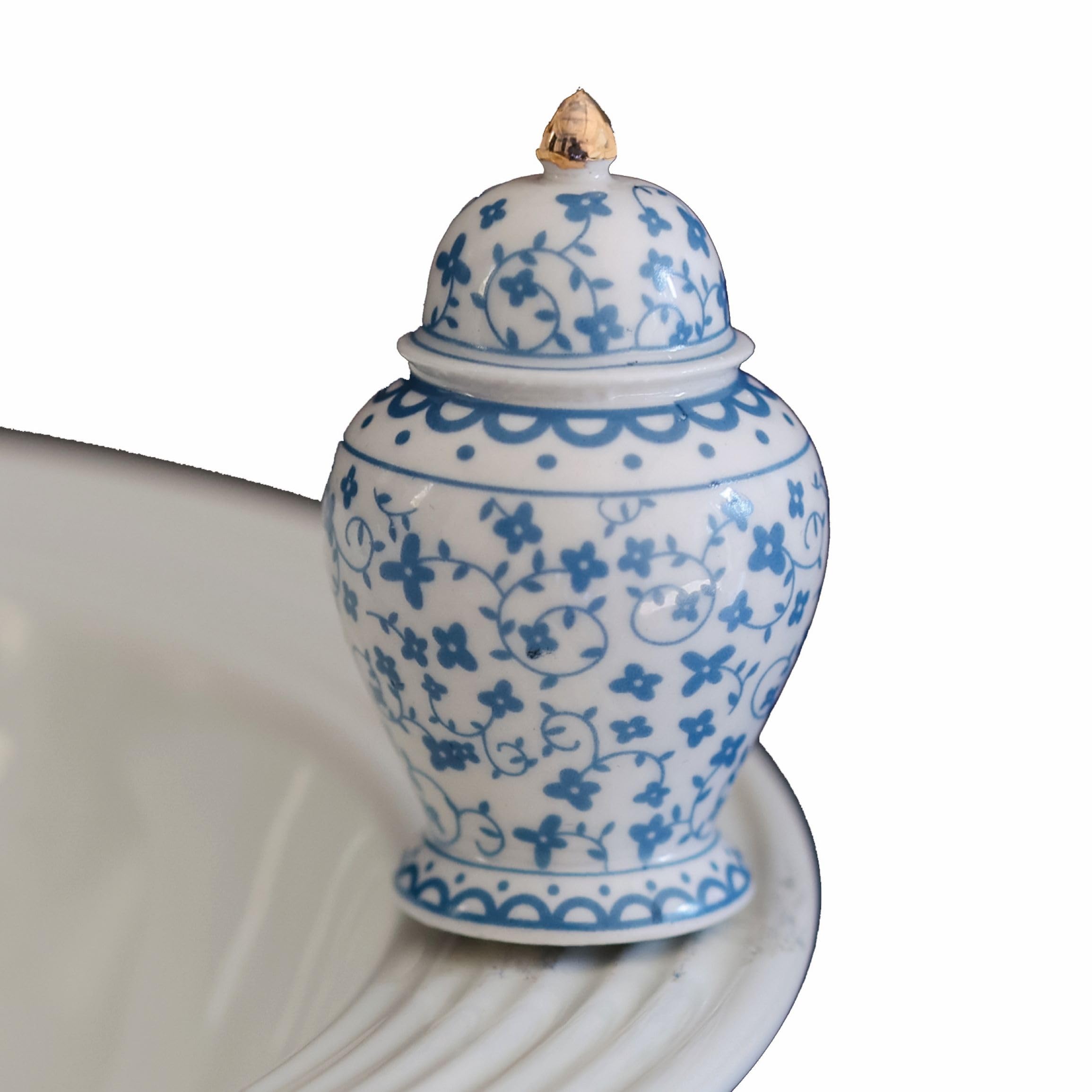 Nora Fleming Hand-Painted Mini: ginger jar (blue/white jar)