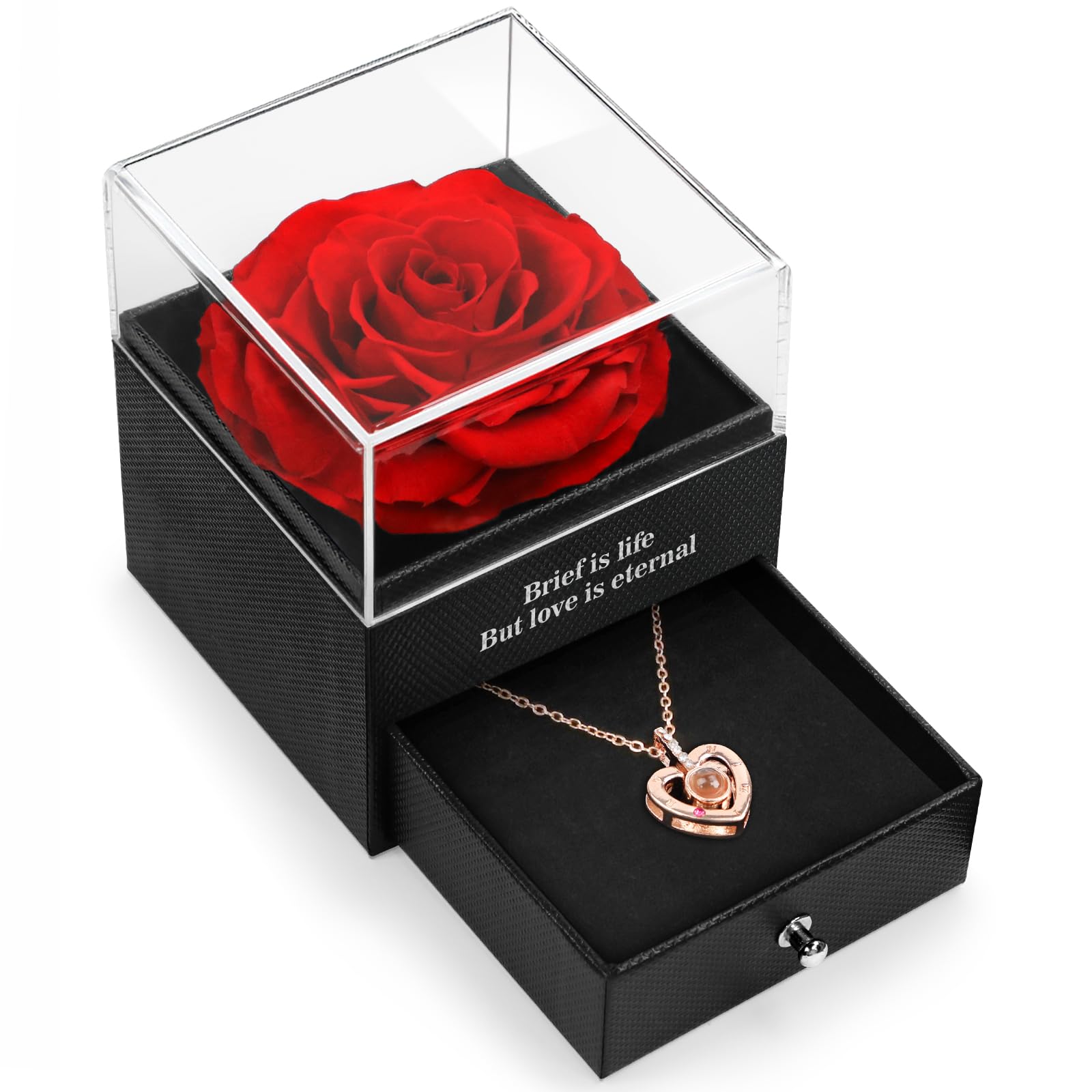 HEGUD Preserved Real Rose with I Love You Necklace in 100 Language, Valentines Day Gift for Her, Girlfriend, Eternal Real Rose F