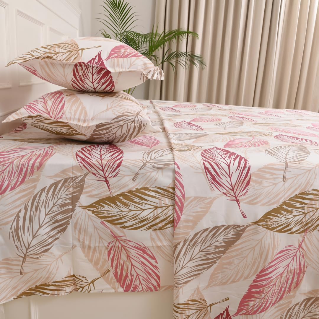 Jaipur Weaves Cotton King Size Bedsheet 108X108 Super King, 100% Pure Cotton Bed Sheet With 2 Pillow Covers, 240 Tc Soft Breatha
