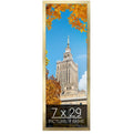 wallsthatspeak 7x29 Gold Picture Frame for Puzzles Posters Photos or Artwork