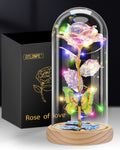 Otlonpe Rose Flower Gifts for Women,Mothers Day Flowers Gifts for Mom Wife Grandma,Birthday Gifts for Women,Led Light Up Glass R