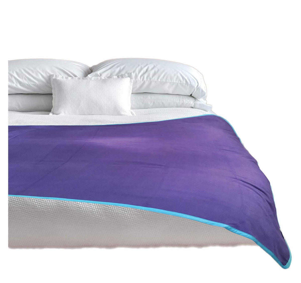 Top 100% Waterproof Blanket Purple/Blue Jumbo 80X60 For Adults And Pets. Keep Everything Dry No Matter How Wet It Gets! Ultrasof