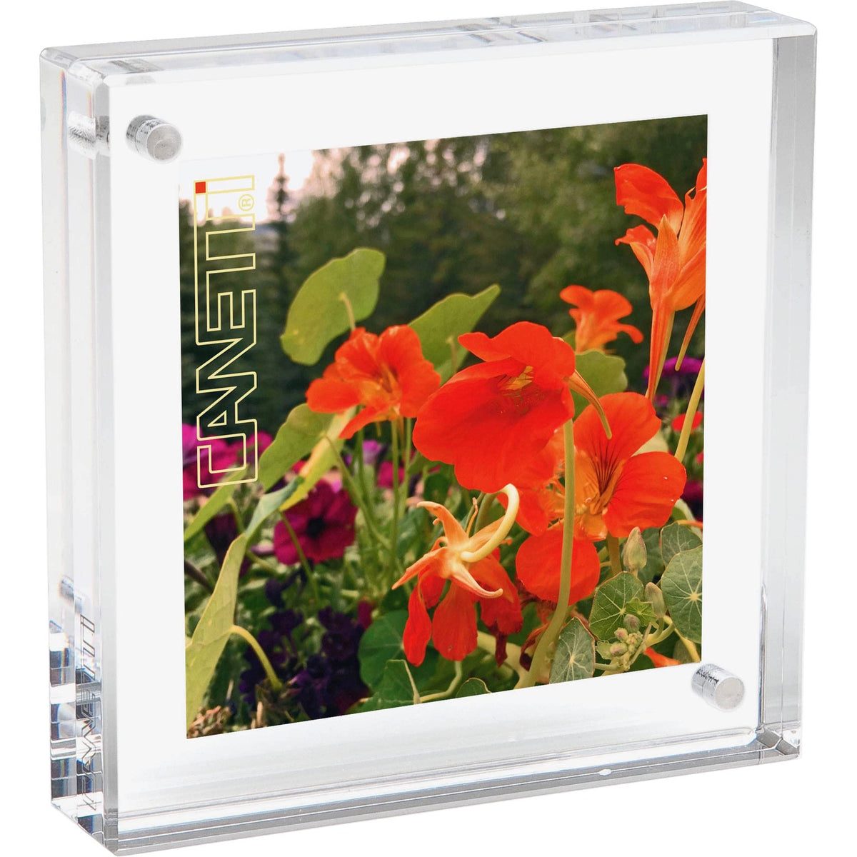 Canetti Original Magnet Frame Square 6x6 inch