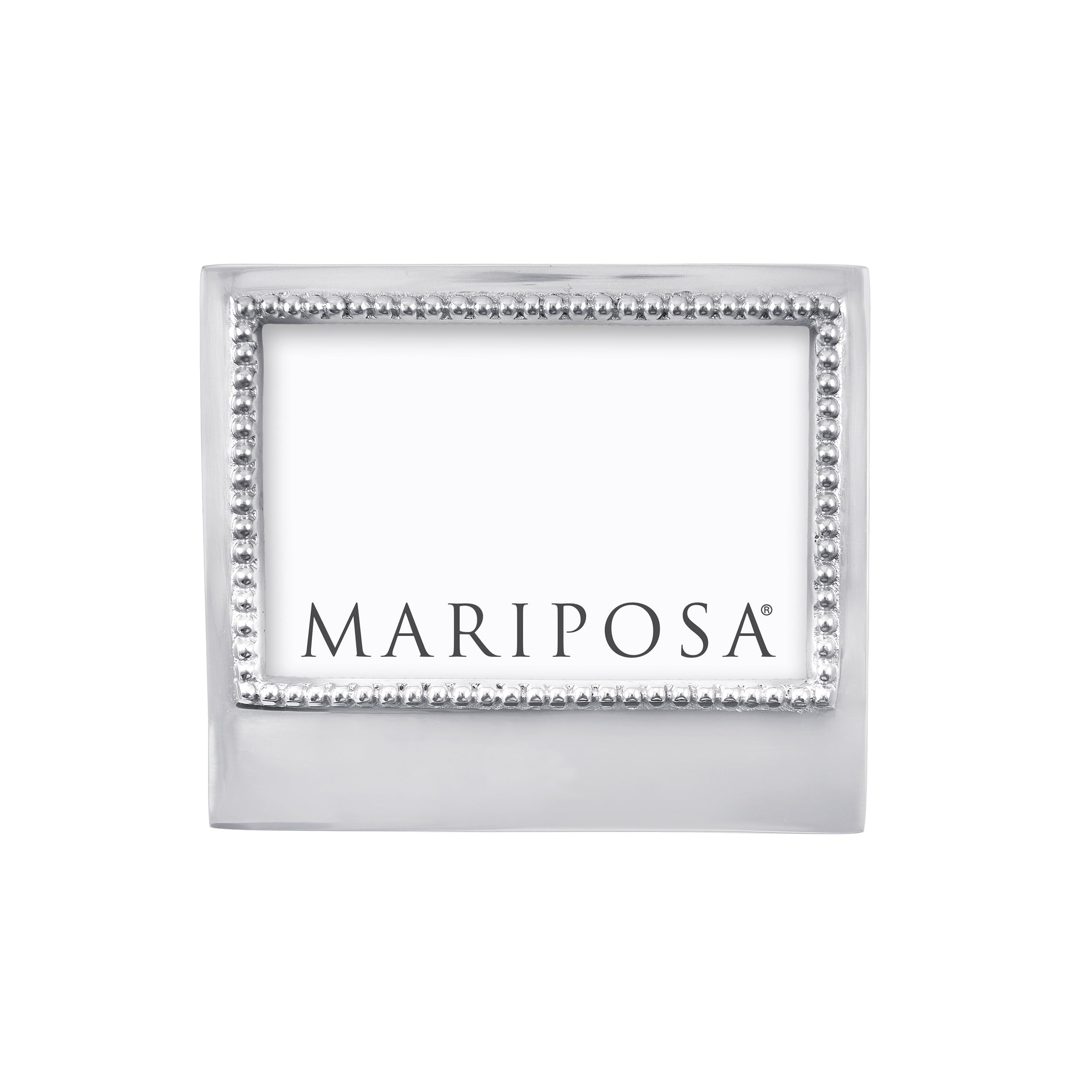 Mariposa Blank 4 x 6 Statement Frame