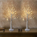 EAMBRITE Lighted Birch Tree for Christmas Decor, Table Decorations Indoor, 2Pack 24 LED Battery Operated/USB Tabletop Mini Artif