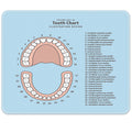 Emvency Mouse Pads Pink Education Tooth Chart Number Infographic Blue Dental Human Anatomy Mousepad 9.5' X 7.9' For Laptop, De