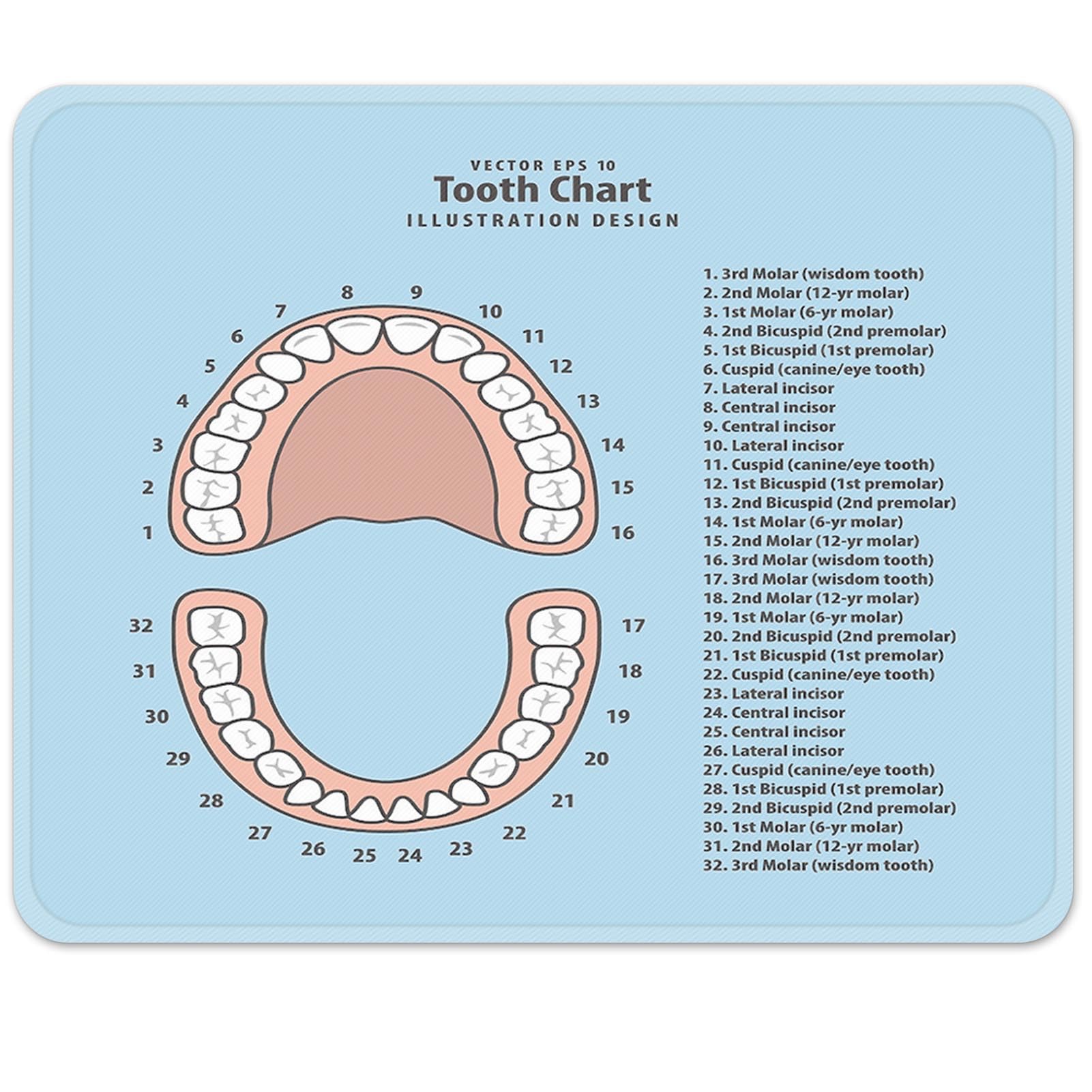 Emvency Mouse Pads Pink Education Tooth Chart Number Infographic Blue Dental Human Anatomy Mousepad 9.5' X 7.9' For Laptop, De