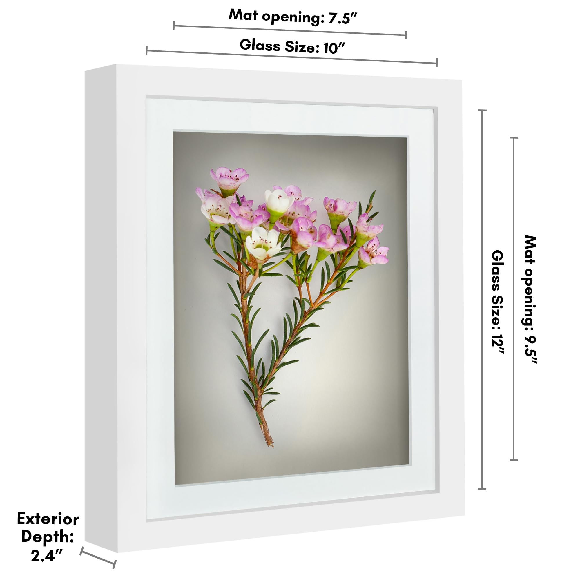 Americanflat 10X12 Shadow Box Frame With Shatter-Resistant Glass - Use As 8X10 Frame With Mat Or 10X12 Frame Without Mat - Silho
