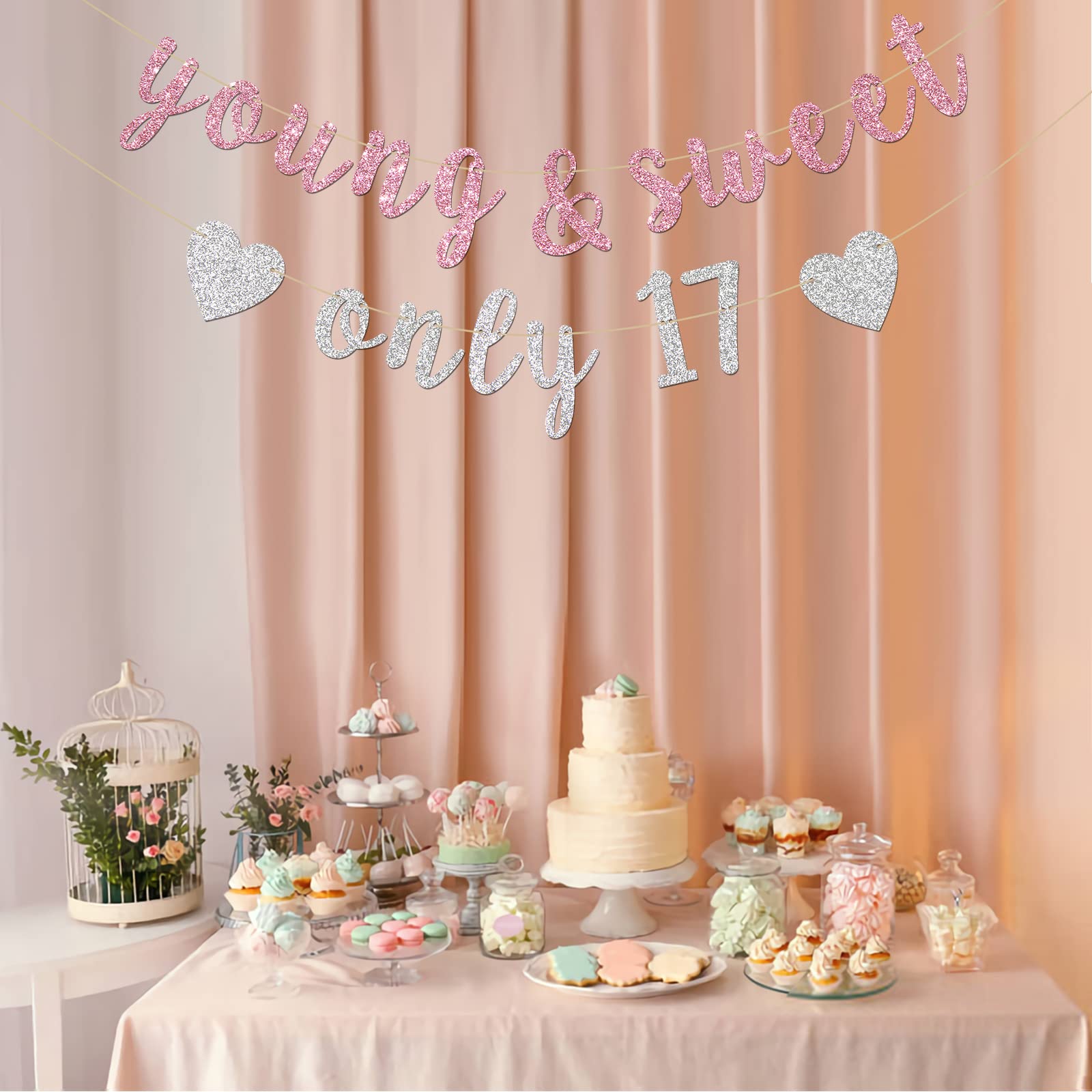 Innoru Young & Sweet Only 17 Banner - Happy 17Th Birthday Party Decor For Girls - Cheers To 17 Years Party Decorations Supplies,