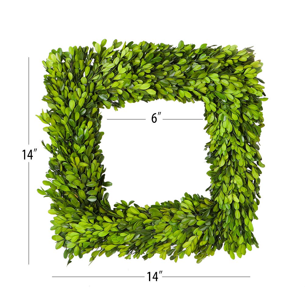 Boxwood Valley Preserved Boxwood Wreath, Wedding Home Decoration Full Green Real Boxwood Wreath, Indoor D  Cor For Halloween, Ch