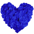 LZXD 1000 Pieces Blue Artificial Silk Rose Petals Flower Decoration Wedding Party Color Blue