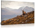 Wild Stag Scottish Highlands Canvas Wall Art Picture Print (24X16)