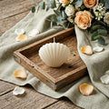 4 Ivory Clean Cotton Scented Dimensional Seashell Candle