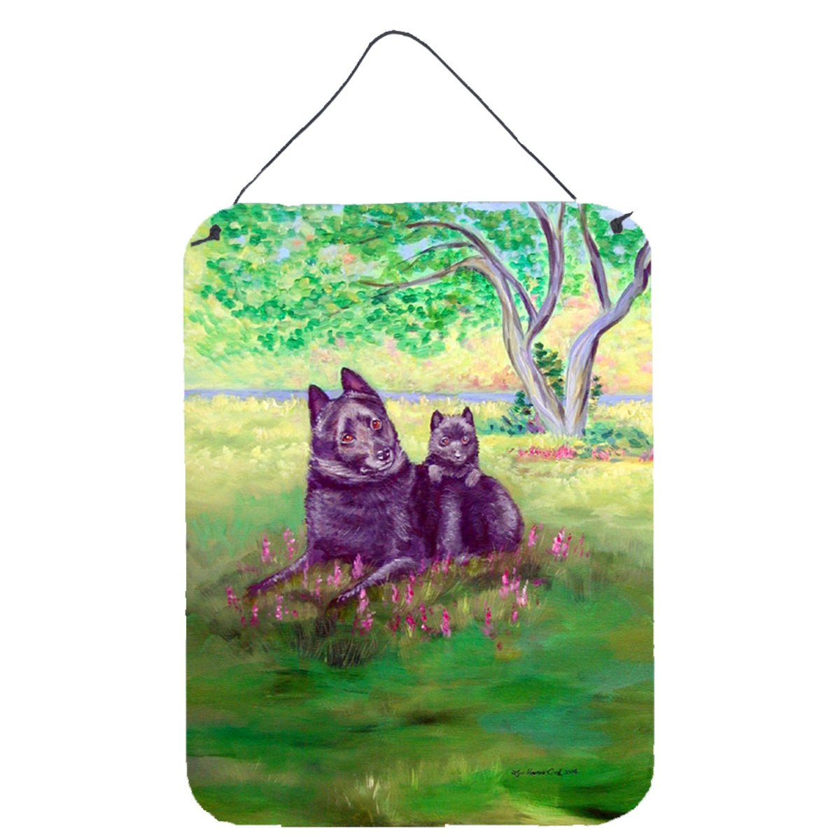 CarolineS Treasures 7263Ds1216 Schipperke Aluminium Metal Wall Or Door Hanging Prints, 16 Inch  Inch  X 12 Inch  Inch , Multicolor