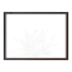 Blake Parrys Agave Framed Printed Glass by Emily Marie Watercolors