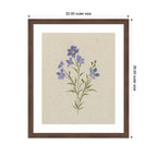 AQ Simple Bloom No 2 by Annie Quigley Framed Wall Art Print