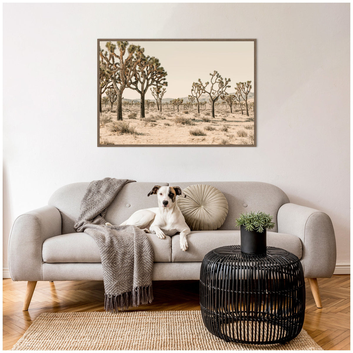 Joshua Tree No. 2 by Alicia Bock Framed Canvas Wall Art Print
