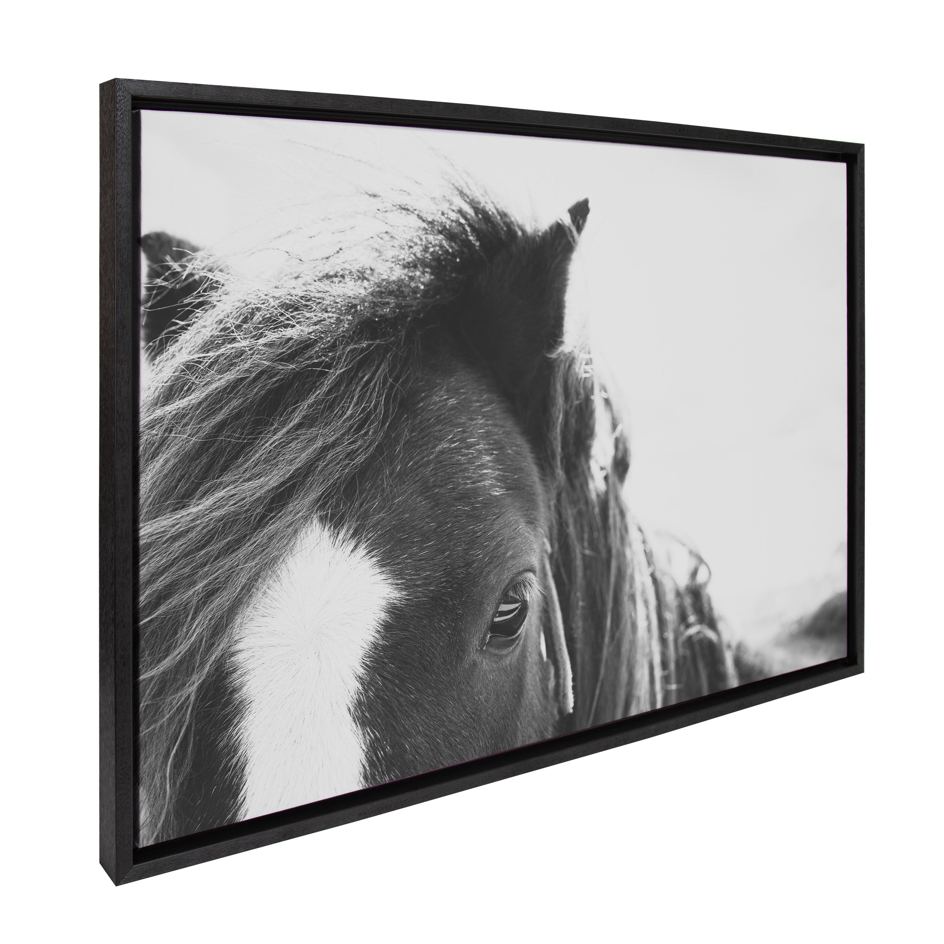 Sylvie Noble BW Framed Canvas by Alicia Abla
