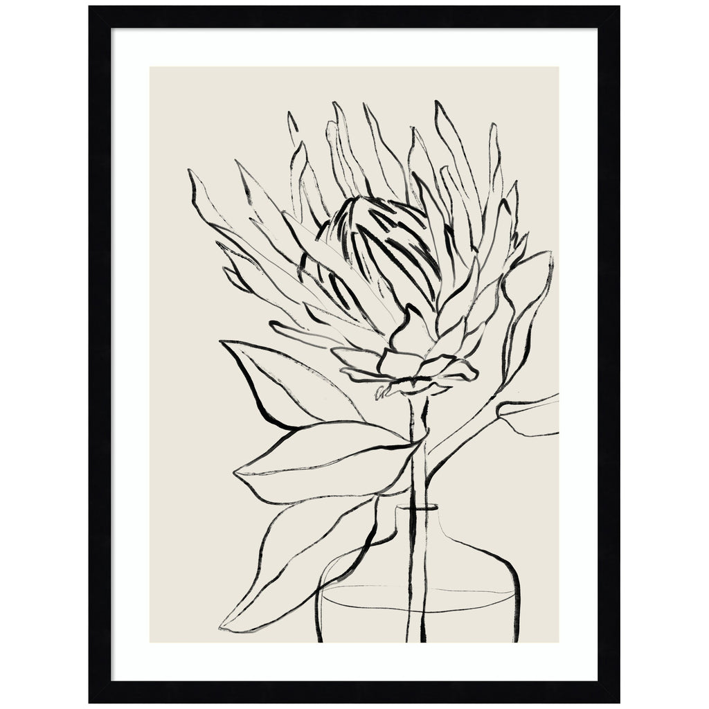 Protea Sketch No. 1 by Sara Berrenson Framed Wall Art Print