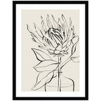 Protea Sketch No. 1 by Sara Berrenson Framed Wall Art Print