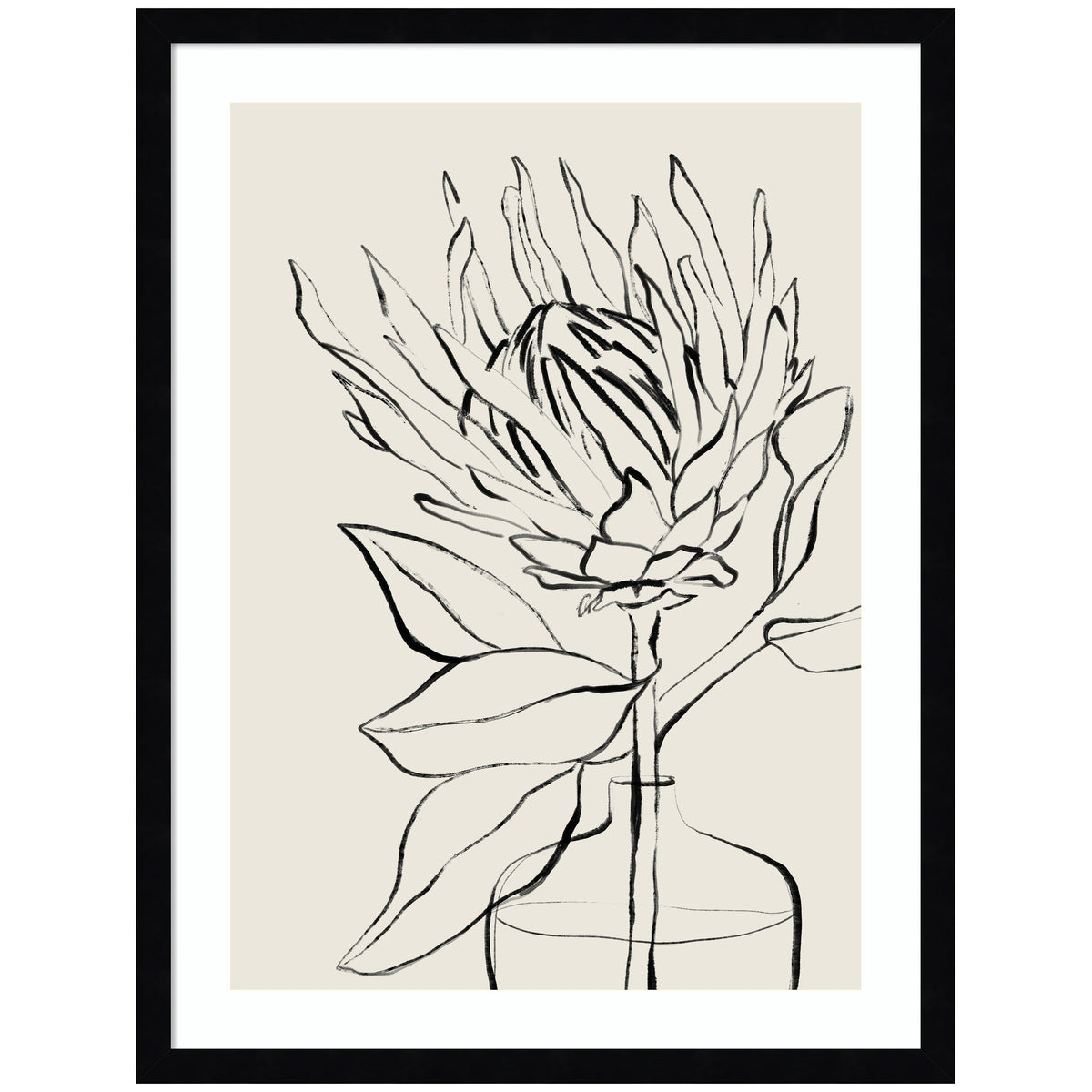 Protea Sketch No. 1 by Sara Berrenson Framed Wall Art Print