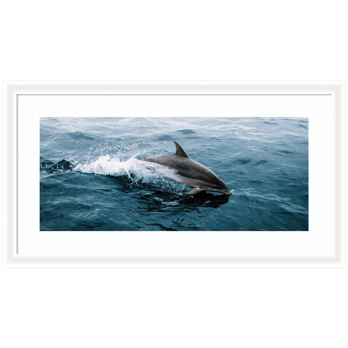 Framed Art Dolphin Skipping along in the Ocean Panel by Michael Schauer