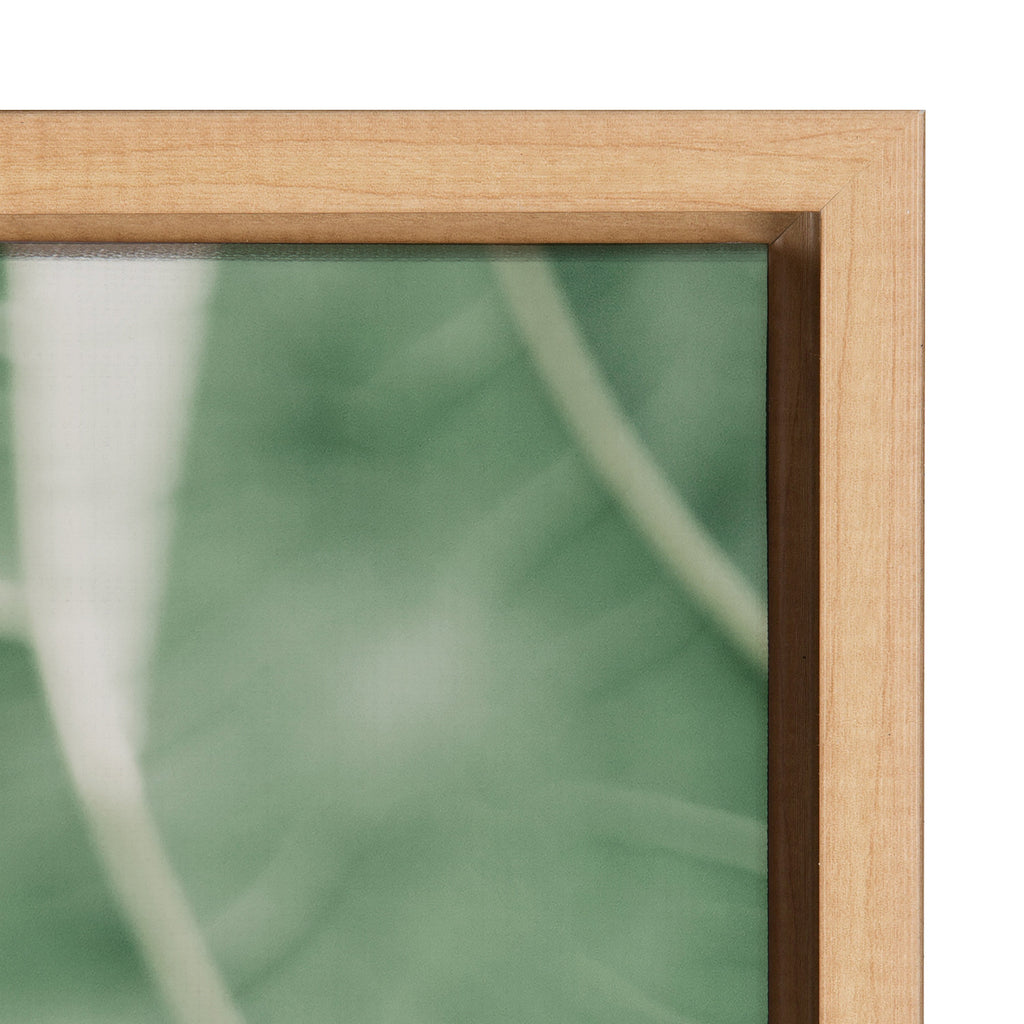 Sylvie Plant Study 7 Framed Canvas by Alicia Abla