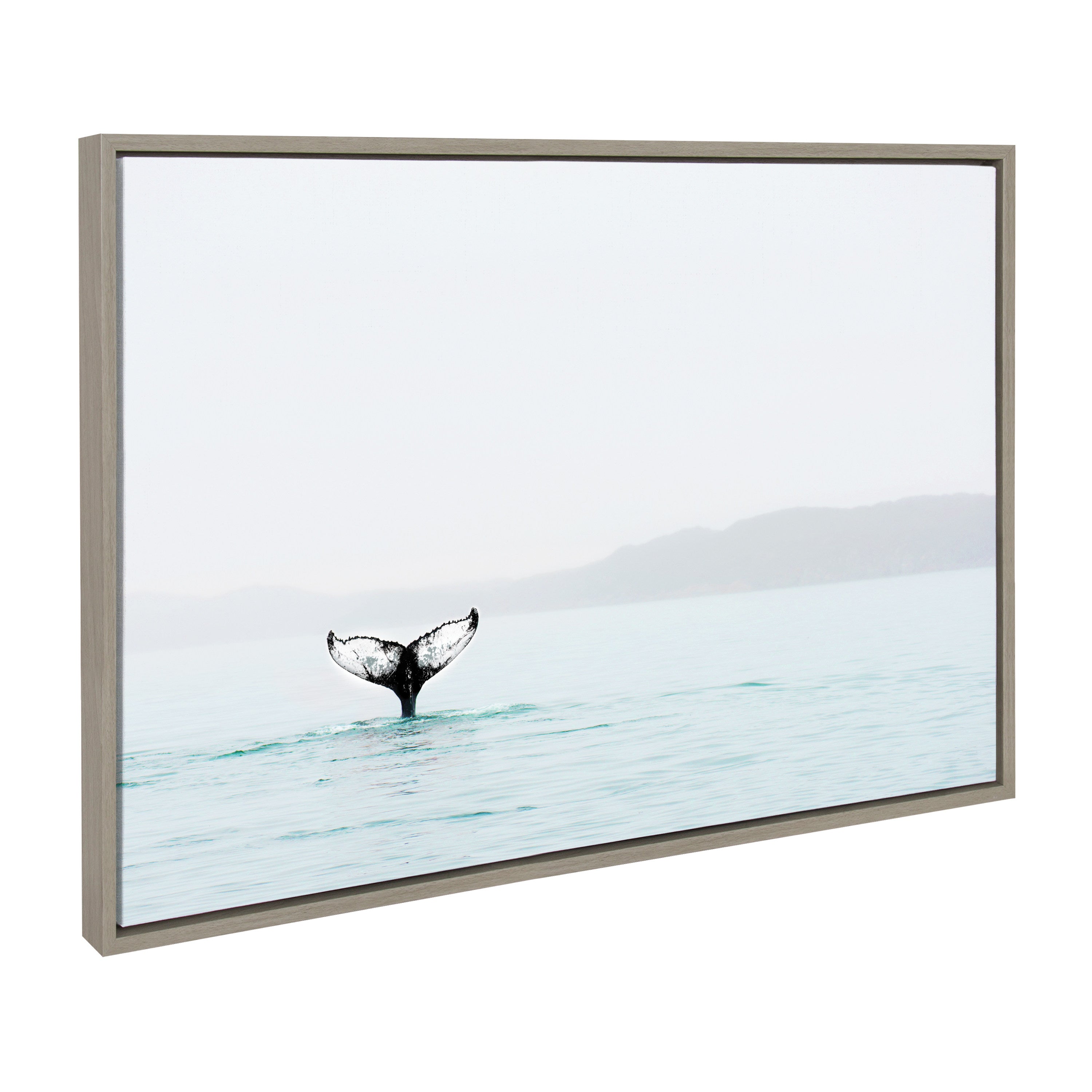 Sylvie Whale Tail In The Mist Framed Canvas by Amy Peterson