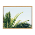 Sylvie Tropical Palm Under Blue Sky Framed Canvas by Amy Peterson Art Studio