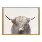 Blake Hey Dude Highland Cow Color Framed Printed Art by The Creative Bunch Studio