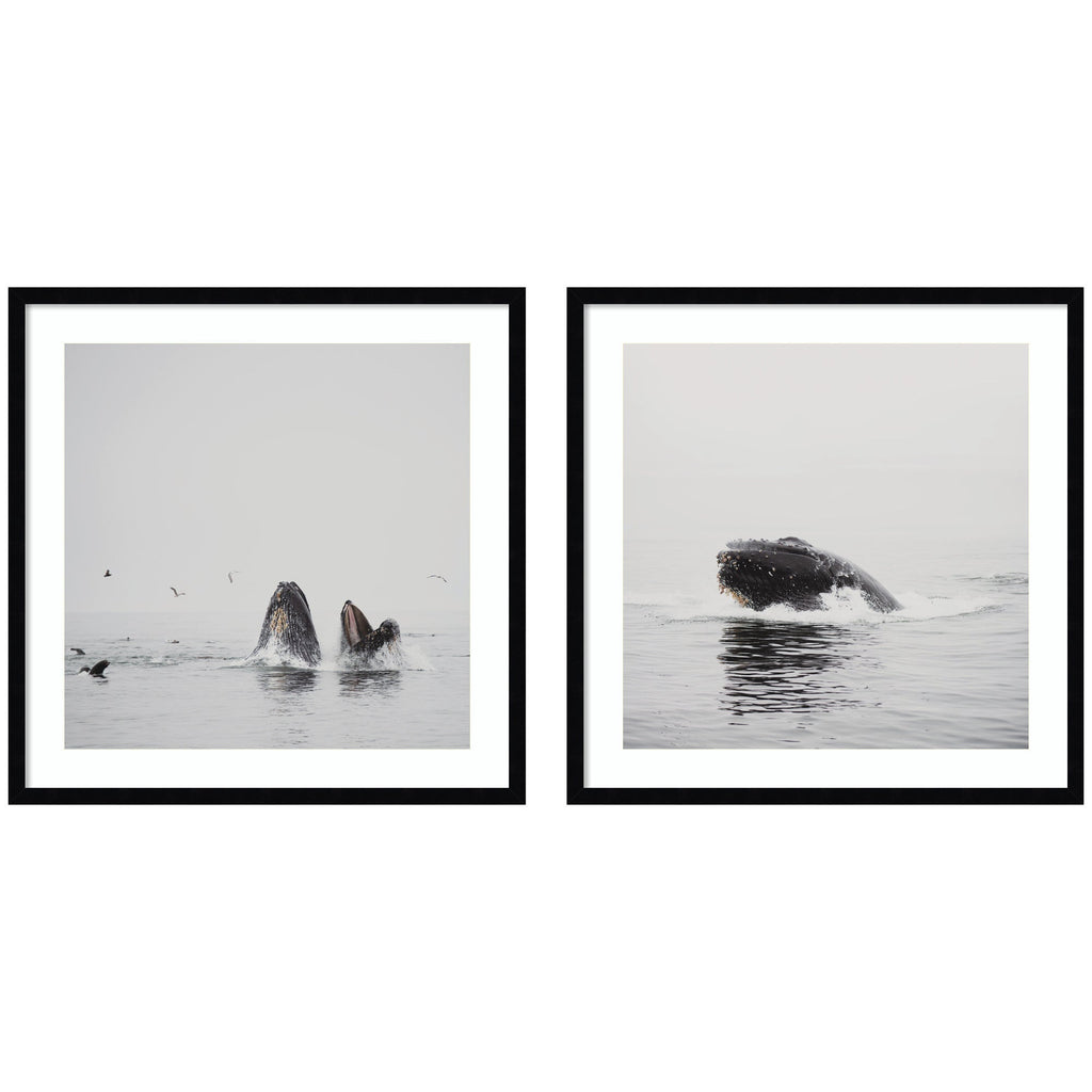 Humpback Whale 2 Piece Framed Wall Art Print Set by Laura Evans
