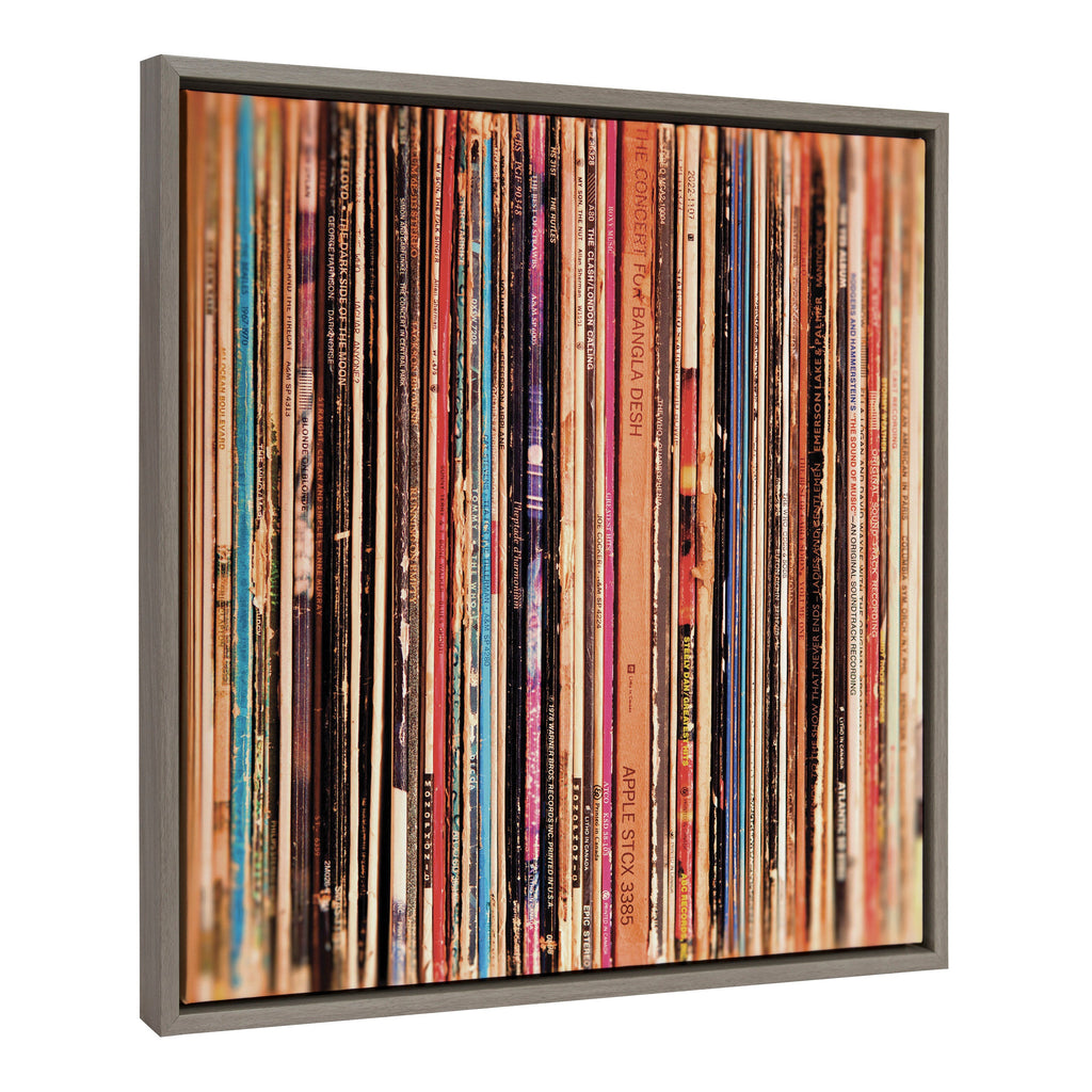 Sylvie Records Framed Canvas by Robert Cadloff of Bomobob