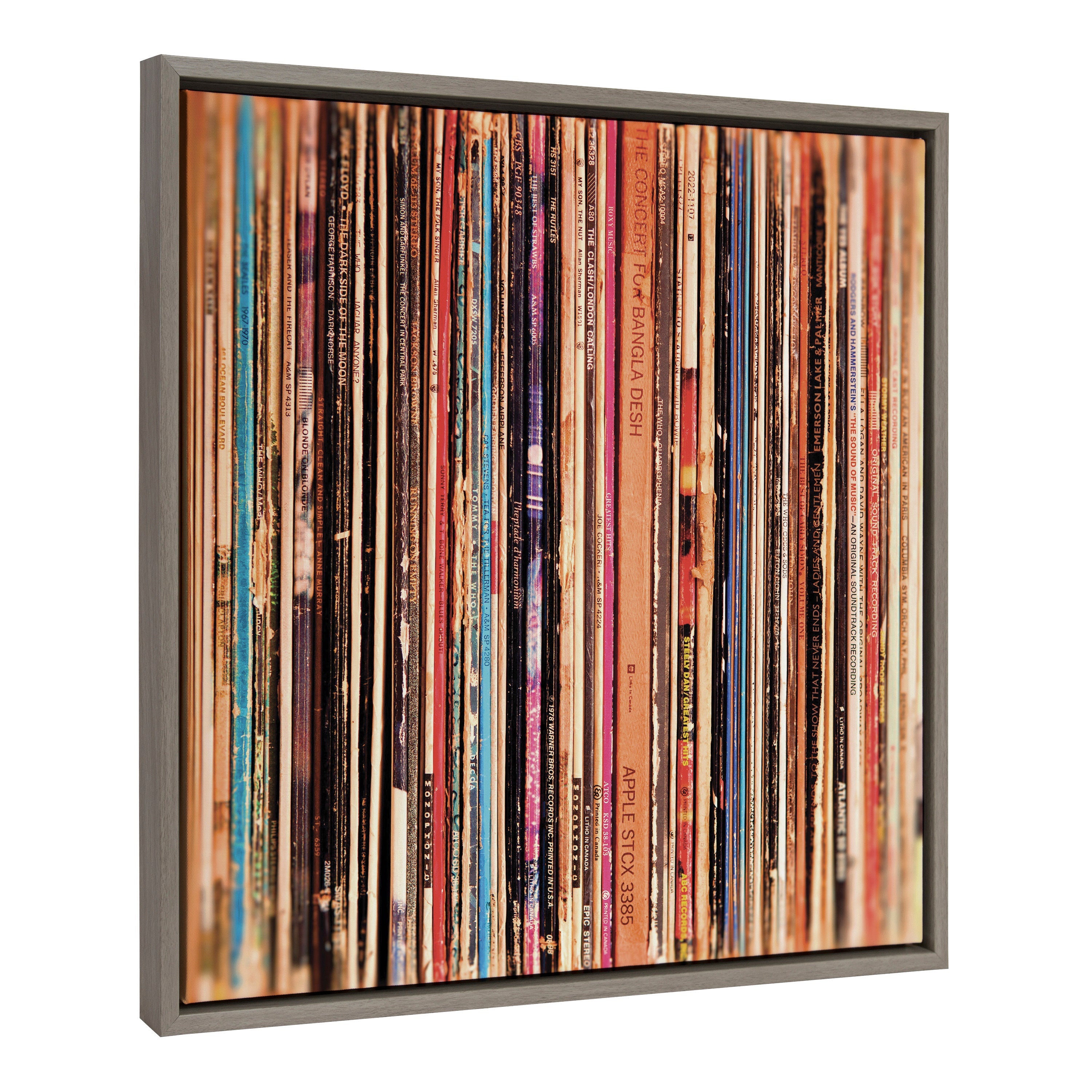 Sylvie Records Framed Canvas by Robert Cadloff of Bomobob