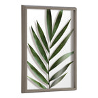 Blake Botanical 5F Framed Printed Glass by Amy Peterson