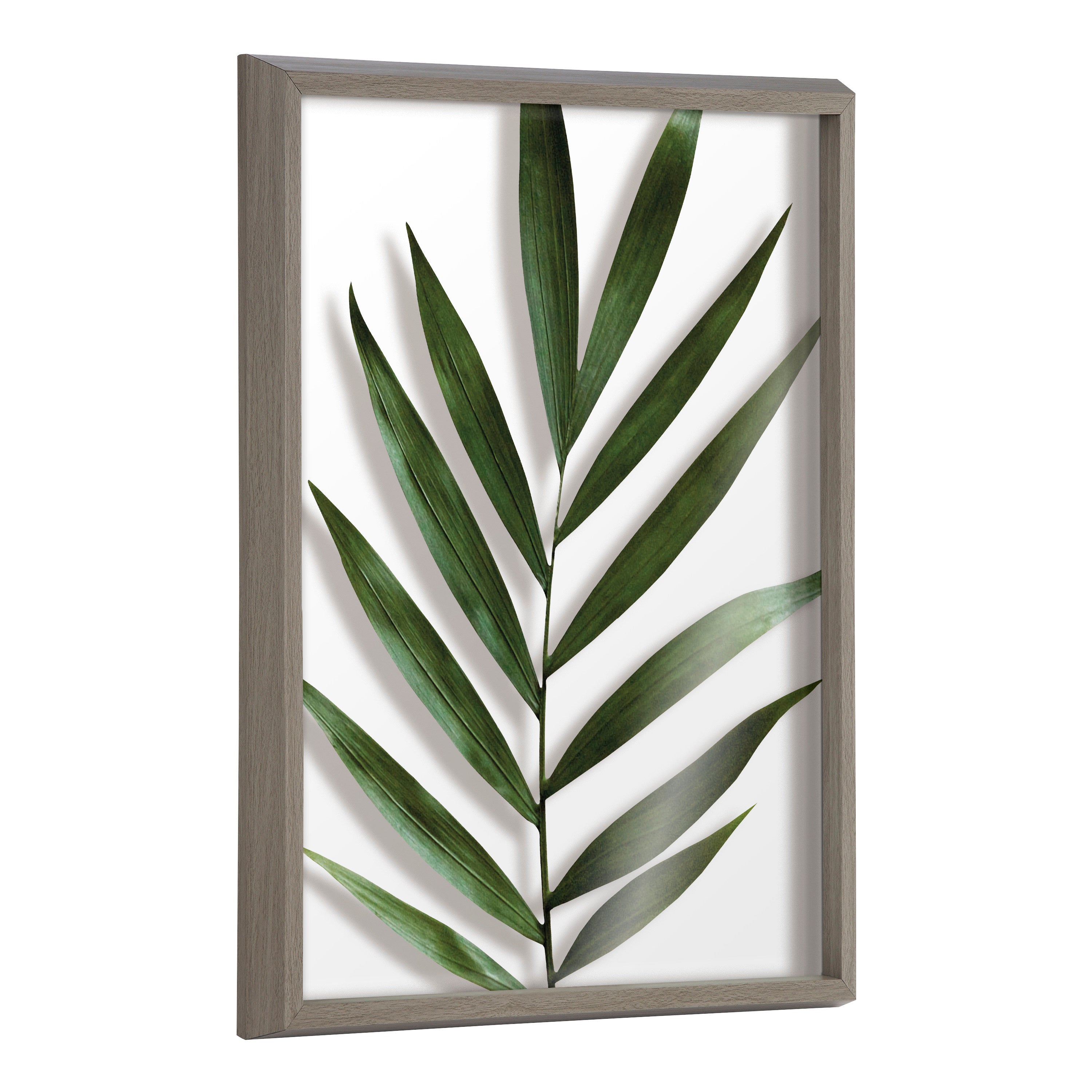 Blake Botanical 5F Framed Printed Glass by Amy Peterson