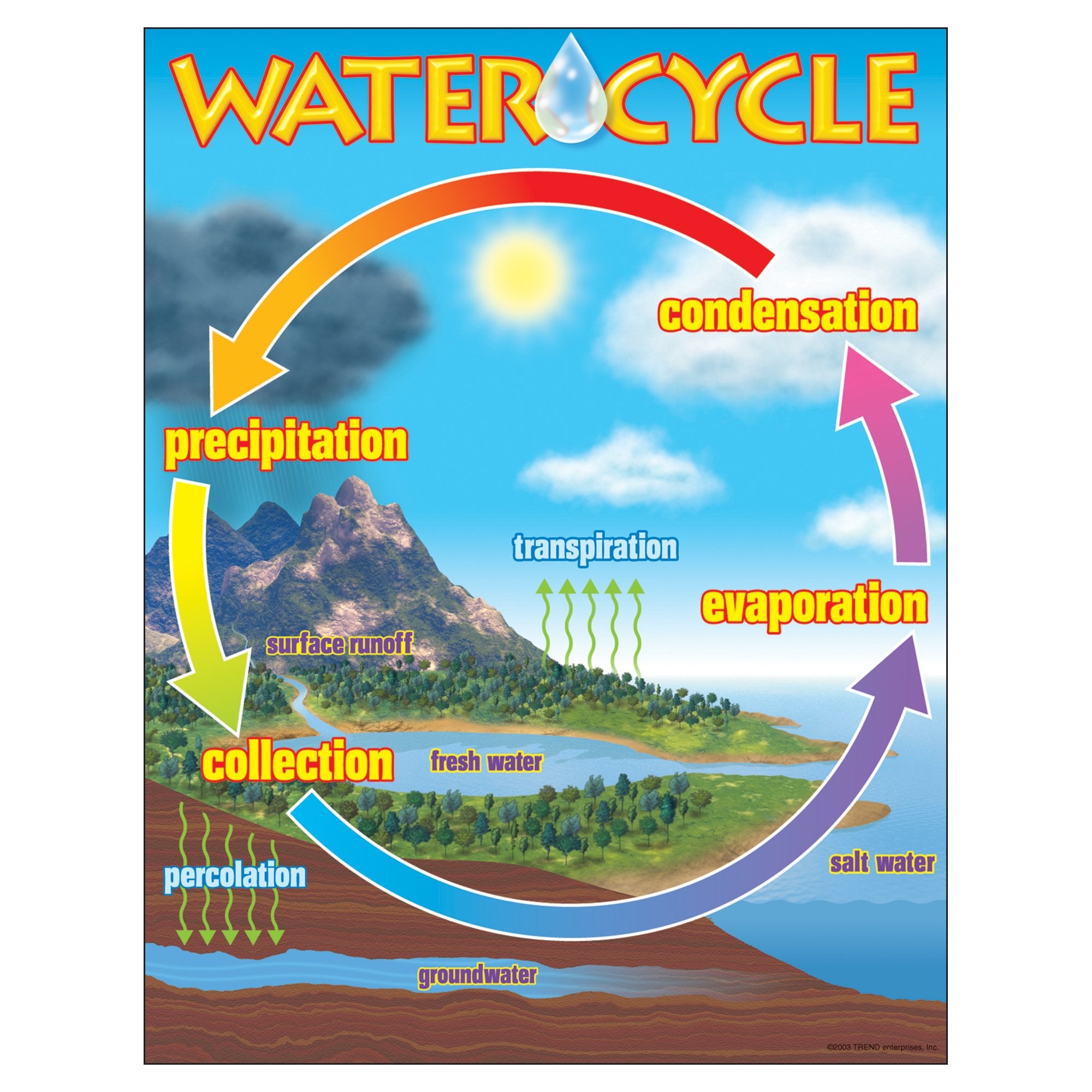 Trend The Water Cycle Learning Chart, Classroom Decor, 17' X 22'