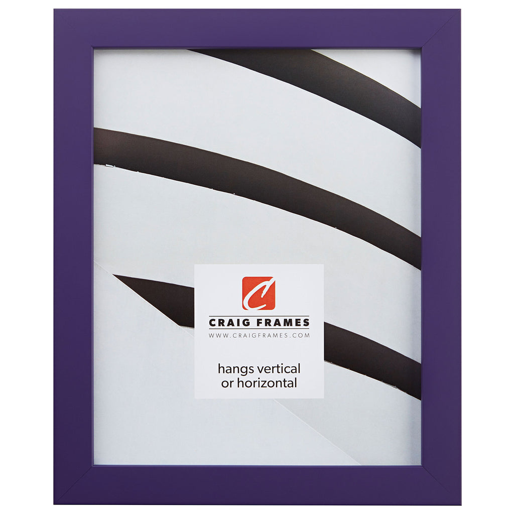 Craig Frames Confetti, Modern Purple Picture Frame, 24 x 30 Inch